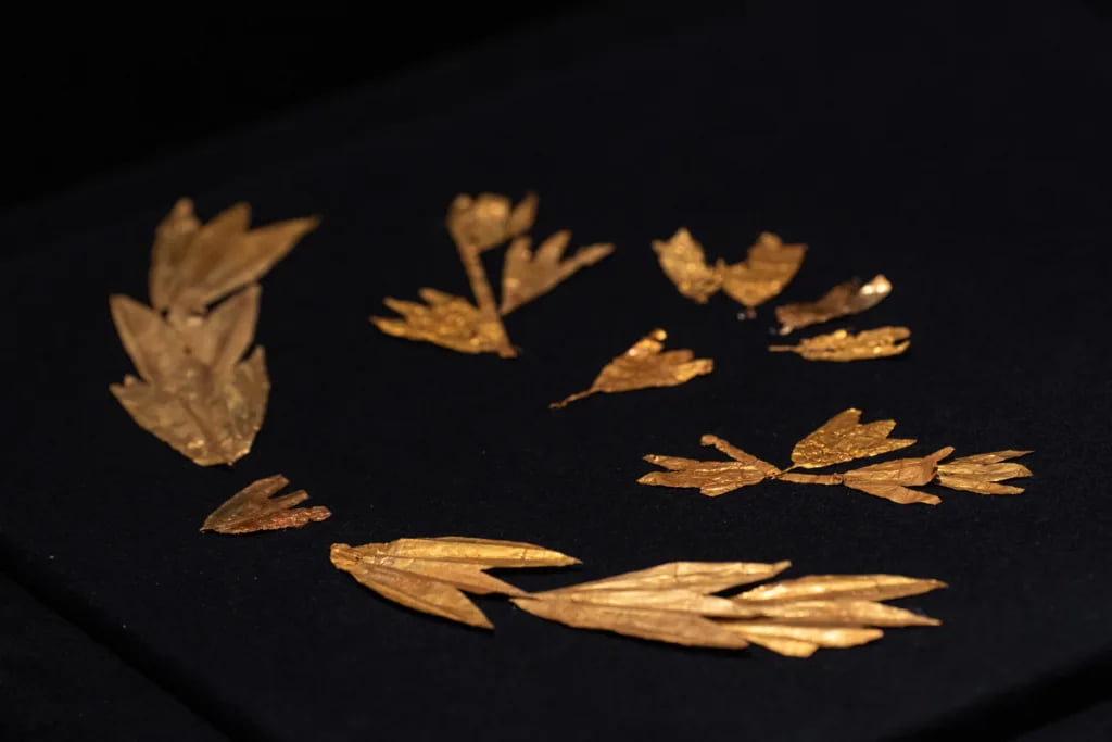 Скіфське золото представили у Скарбниці Національного музею історії України Скіфське золото представили у Скарбниці Національного музею історії України