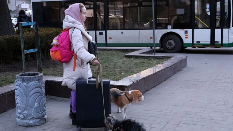 «Понад мільйон дітей виїхали»: куди українці мігрують через війну і як їх повертати