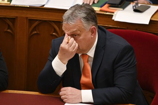 "З Орбаном ще доведеться мати справу": депутат про блокування Україні 50 мільярдів від ЄС