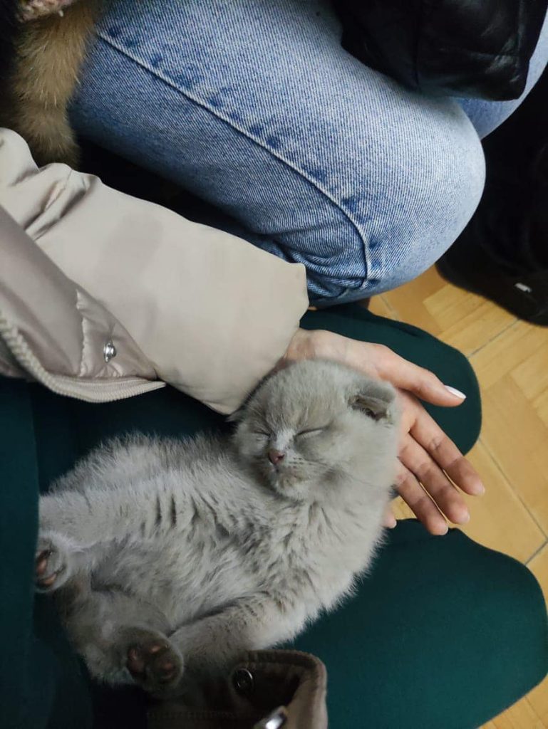 росія обстріляла залізничний вокзал у Херсоні, де люди чекали відправлення евакуаційного потягу