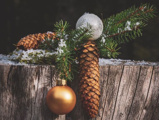 Свято Маланки та Щедра кутя: дата за новим календарем, історія та традиції Свято Маланки та Щедра кутя: дата за новим календарем, історія та традиції