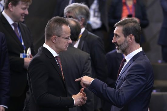 Очільник МЗС Словаччини заявив, що поки "не може уявити" Україну в ЄС