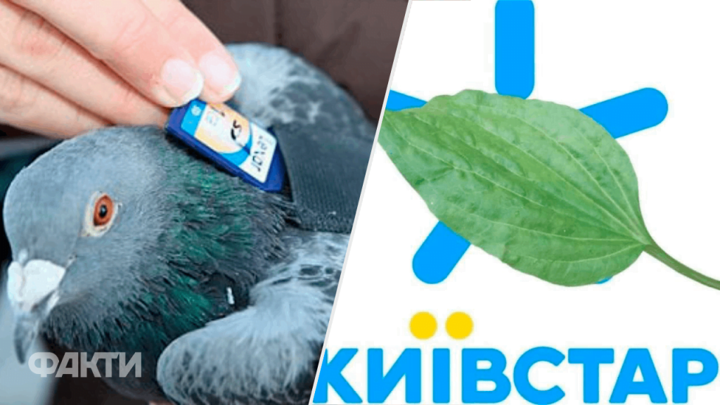 Monobank відбив потужну DDoS-атаку: що відомо