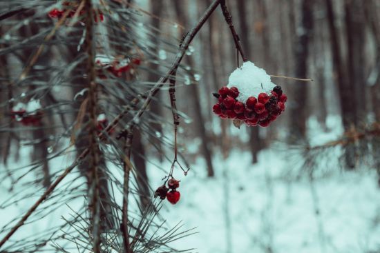 До України йде справжня весна: синоптикиня назвала дату потепління