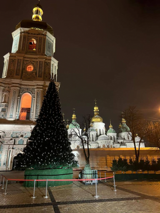 Життєствердна, як ніколи: у Києві змонтували головну ялинку країни (фото)