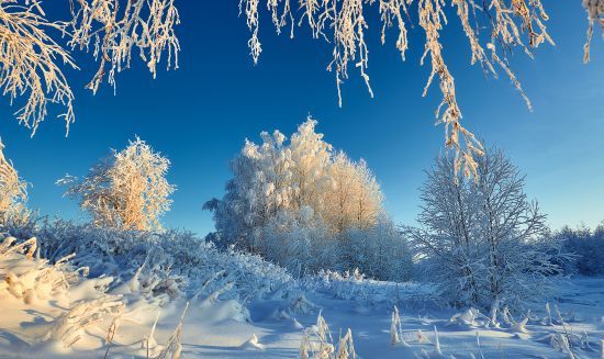 Якою буде погода на Різдво та Новий рік: синоптикиня ошелешила прогнозом