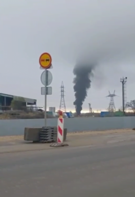 У Феодосії "розквітла бавовна" (відео)