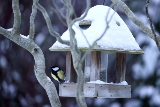 Прогноз погоди на 9 грудня: де в Україні будуть сніг та ожеледиця