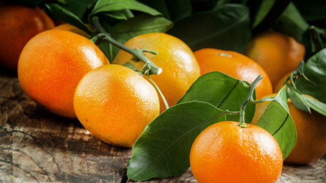 Що приготувати на Новий рік 2024: рецепти святкових страв