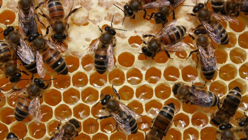 Повітря соляних кімнат: у МОЗ попередили про недоведену ефективність спелеотерапії Повітря соляних кімнат: у МОЗ попередили про недоведену ефективність спелеотерапії