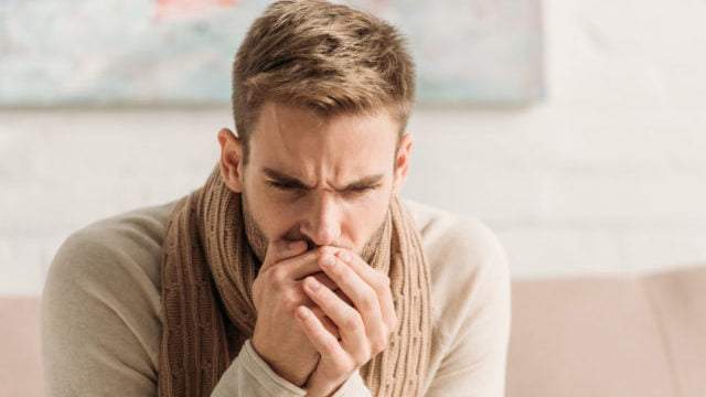 Які корисні властивості має калина та як її правильно вживати