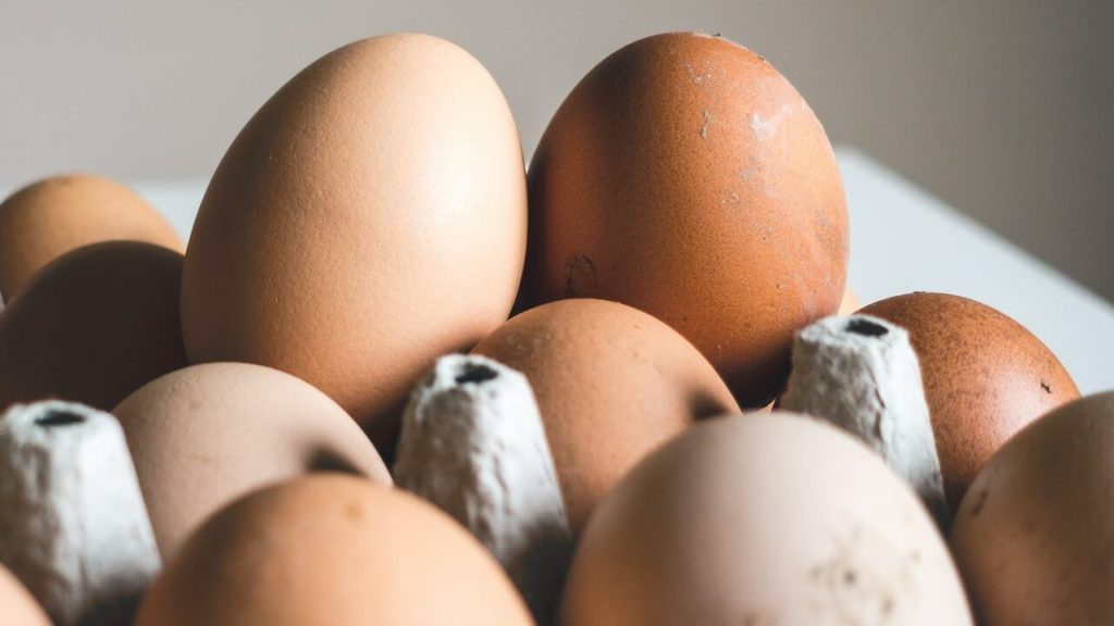 Кури їдять яйця: що робити та які методи використовувати
