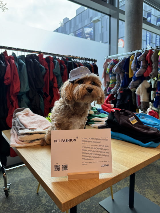Український бренд Pet Fashion взяв участь у благодійному різдвяному pop-up  маркеті SKRYNYA у Берліні