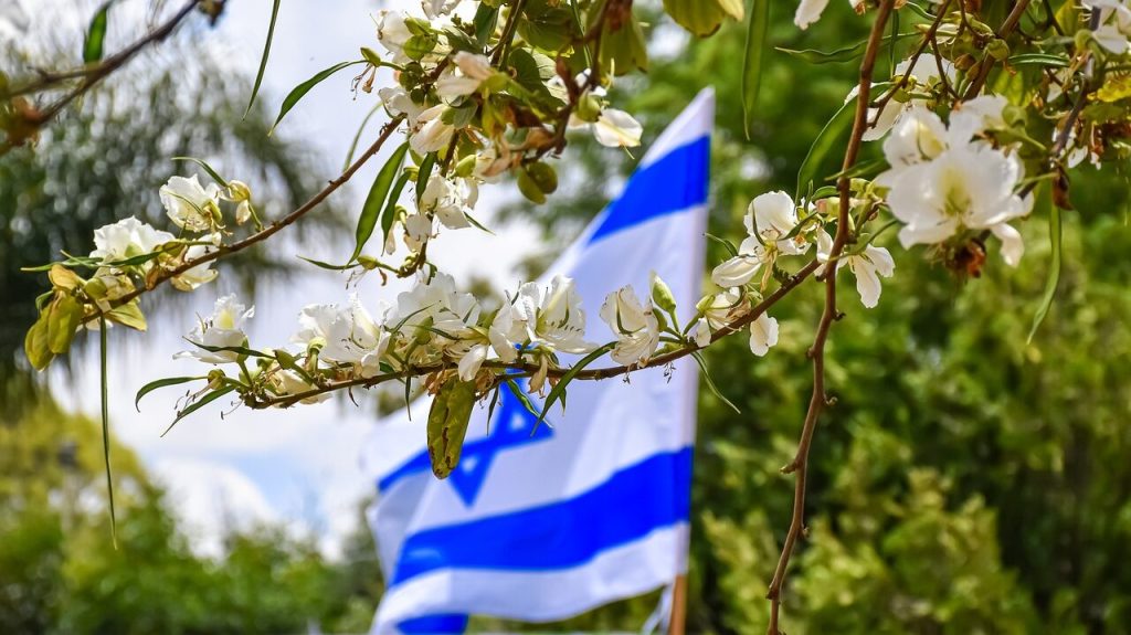 З розрахунку на два роки: ЄС виділив €4 млн на медичну підтримку біженців з України