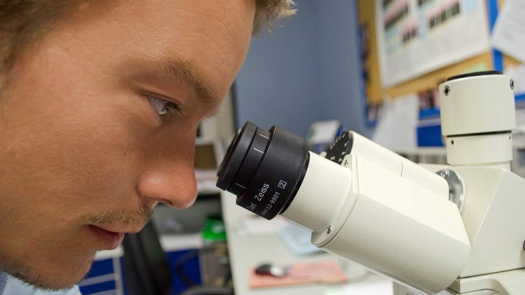 На Волині врятували 50-річну жінку, видаливши рідкісну кісту печінки, яку спричинив черв’як – ехінокок