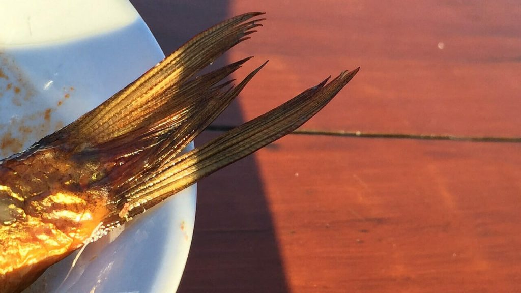 Шість постраждалих, троє з них померли: у випадках ботулізму на Запоріжжі винні риба та гриби Шість постраждалих, троє з них померли: у випадках ботулізму на Запоріжжі винні риба та гриби