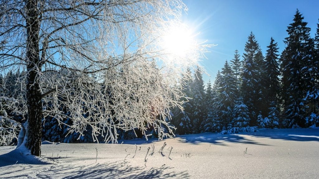 Без Мессі у шорт-лісті: BBC назвала найкращого спортсмена 2023 року Без Мессі у шорт-лісті: BBC назвала найкращого спортсмена 2023 року