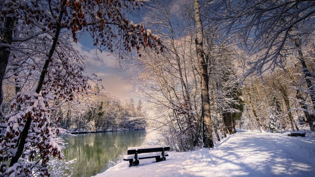 Скільки отримують вчителі: зарплата педагогів у 2023 році