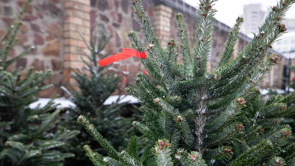 Українські захисники збили ракету над Криворізьким районом – ОВА Українські захисники збили ракету над Криворізьким районом – ОВА