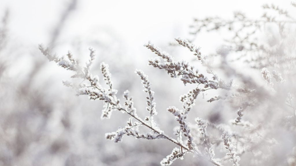 Не залишайте кишені порожніми: яке свято 17 грудня, прикмети та заборони