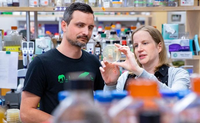 Перемогти смерть. Завдяки яким новітнім технологіям людина житиме вічно?