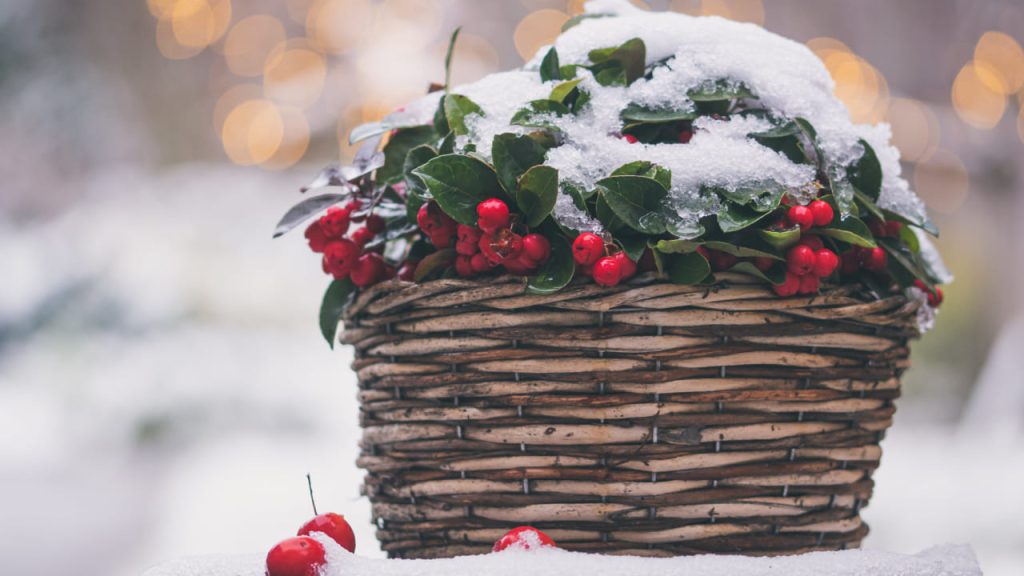 Прикмети на Водохреще 2024: що потрібно робити і заборони Прикмети на Водохреще 2024: що потрібно робити і заборони