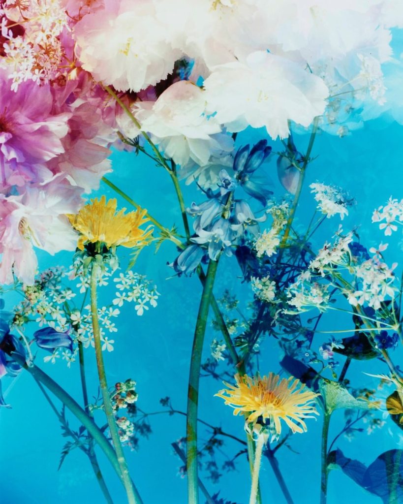 Платформа Art4People організує продаж фотографій на підтримку України Платформа Art4People організує продаж фотографій на підтримку України