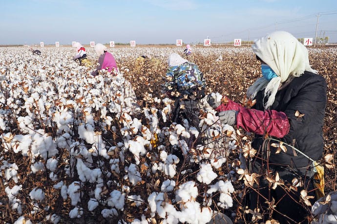 В США різко скоротилась кількість бавовняних заводів