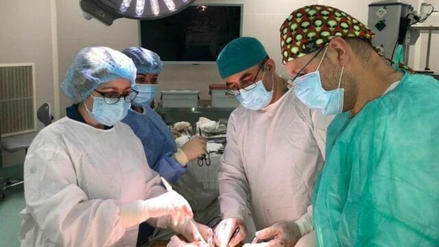 Якими гельмінтами найчастіше заражаються в Україні і що робити, щоб позбутися глистів Якими гельмінтами найчастіше заражаються в Україні і що робити, щоб позбутися глистів