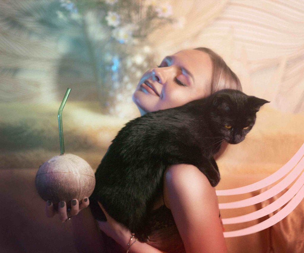 Stella Sezon — Sniff the cat:  відчуй заспокійливу силу котиків