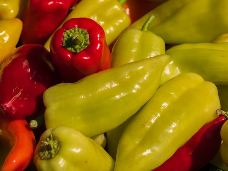 "Перець порадує рекордним урожаєм". Городники розповіли, як правильно поливати перець