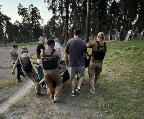 У Києві врятували лося, який опинився на футбольному полі