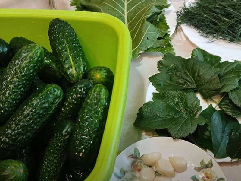 Додайте це в банку – і малосольні огірки вийдуть дуже смачні, ароматні й хрумкі. Перевірений рецепт засолювання лише за кілька годин