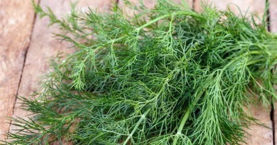 Лайфгак, як зберігати кріп свіжим в холодильнику без заморозки