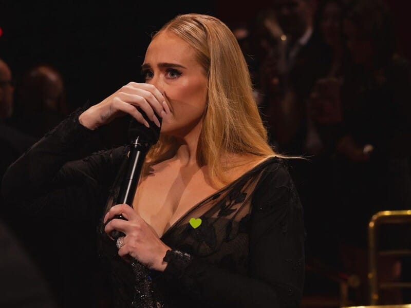 Адель опинилася в епіцентрі скандалу після того, як з'явилася в сукні від російського бренда