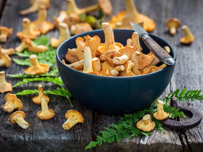 Лисички. Як вибрати, промити, приготувати й подати ці гриби