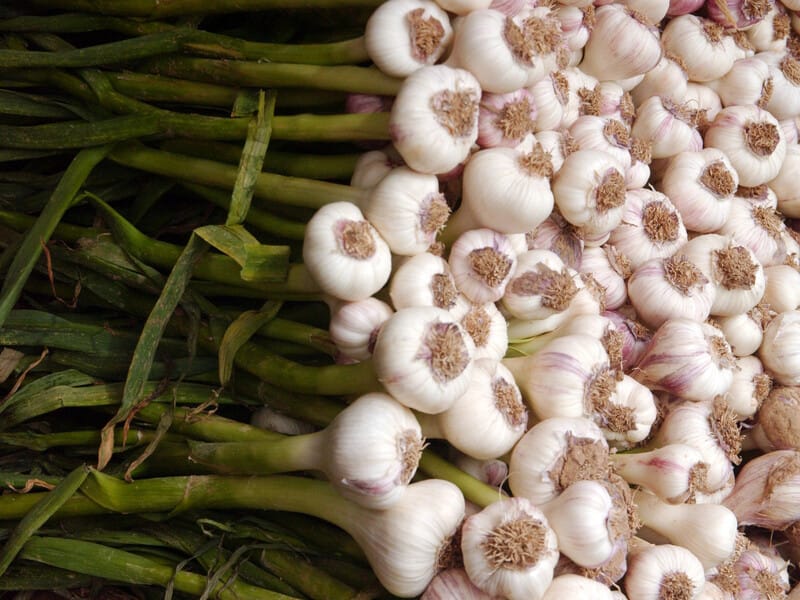 "Виросте розміром із кулак". Чим підживити часник у червні