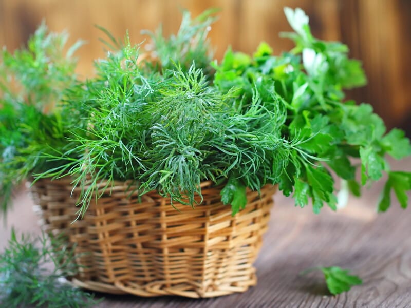 Як зберігати зелень, щоб вона залишалася якнайдовше свіжою. Дієвий лайфхак, яким користуються в ресторанах