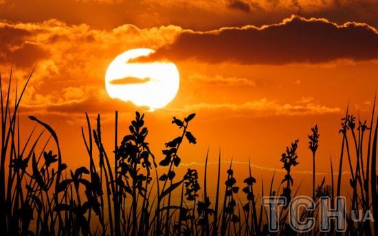 Купала 24 червня 2024 року: що варто робити Купала 24 червня 2024 року: що варто робити