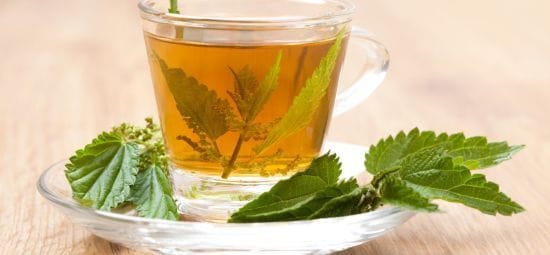 Який бур’ян здатен миттєво знизити артеріальний тиск і зняти втому: не поспішайте його викидати