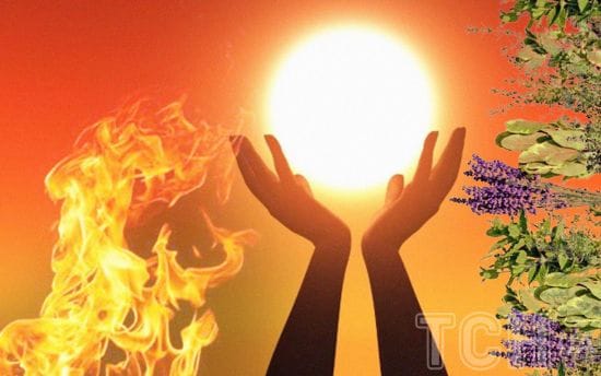 Купала 24 червня 2024 року: гороскоп для всіх знаків зодіаку Купала 24 червня 2024 року: гороскоп для всіх знаків зодіаку