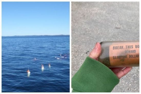 Знайдено пляшку з посланням, випущену в море 1961 року: де її викинули і знайшли – фото