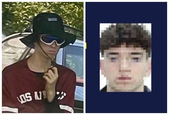 Підозрюваний у вбивстві Фаріон стежив за сторінкою блогера-критика мовознавиці – ЗМІ