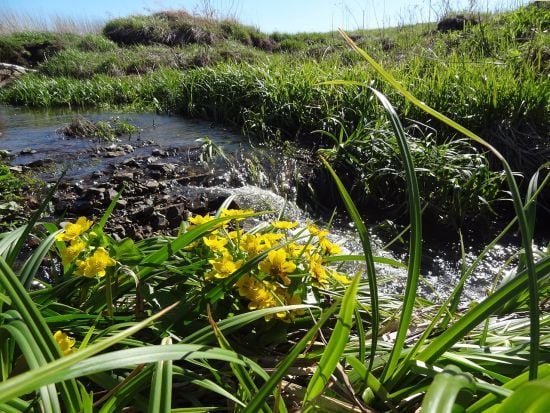 Похолодання у двох областях: синоптикиня розповіла, де відступить спека