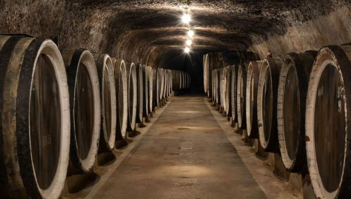 "Вина Закарпаття": Фонд держмайна готує до приватизації агропідприємство біля Ужгорода 