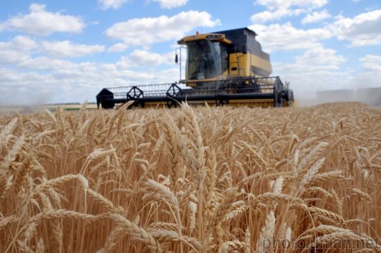 Окупанти атакували дроном комбайн на Сумщині: є загиблий і поранений