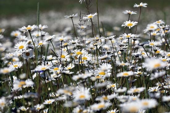 Спеку розбавлять дощі: прогноз погоди на понеділок, 8 липня