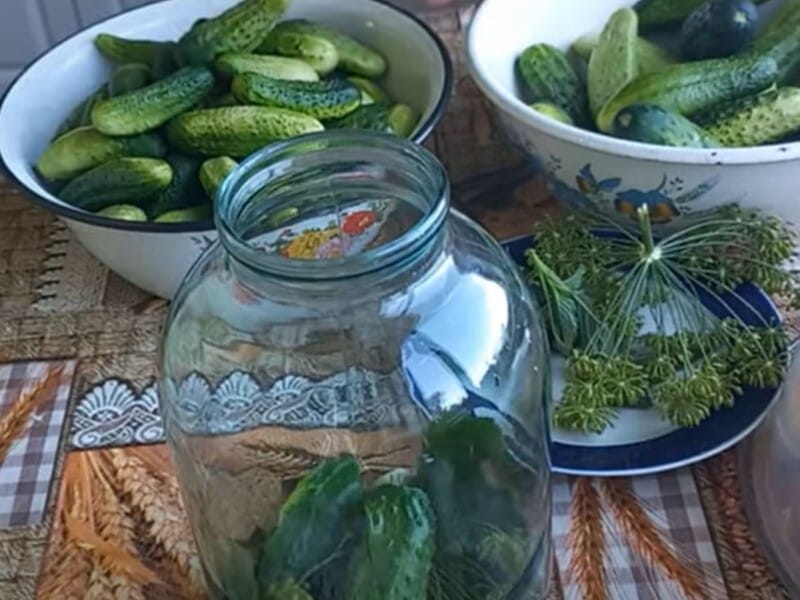 Обов'язково додайте це в банку – й огірки вийдуть смачними та хрумкими. Перевірений рецепт консервації на зиму