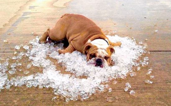 Як легше переносити жару: корисні поради