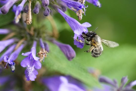 У деяких областях дощі та прохолода: синоптики оновили прогноз на сьогодні,15 липня